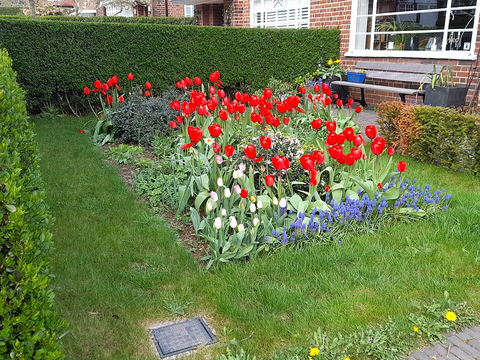 Jardin de fleurs